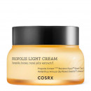full-fit-propolis-light-cream-moisturizing-facial-cream