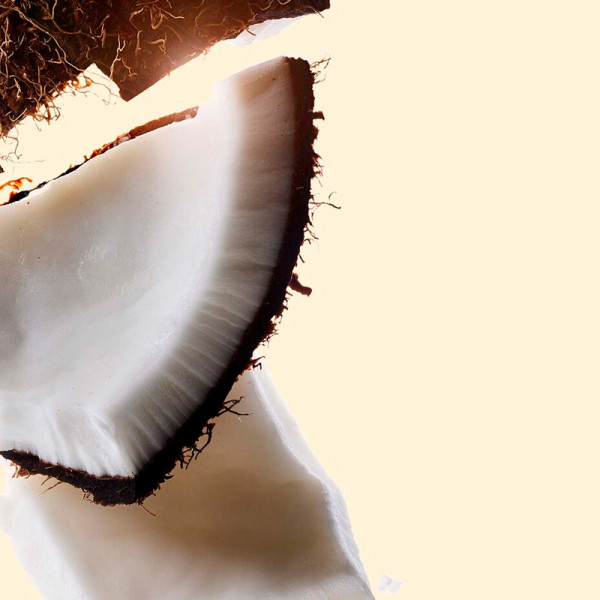 bronzing-powder-bronzing-powders
