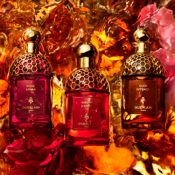 absolus-allegoria-ambre-samar