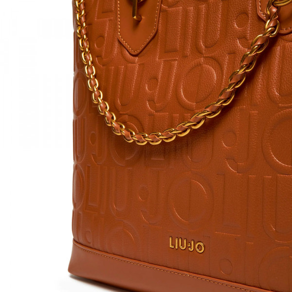 bag-aa5197-e0538