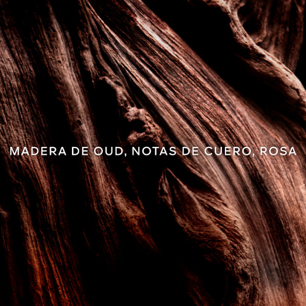 absolus-allegoria-oud-essentiel