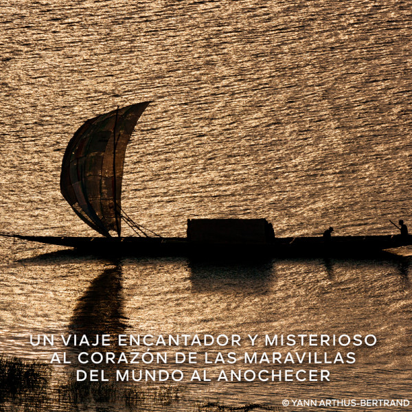 absolus-allegoria-oud-essentiel