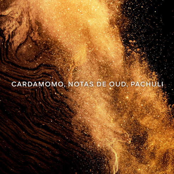 absolus-allegoria-epices-exquises