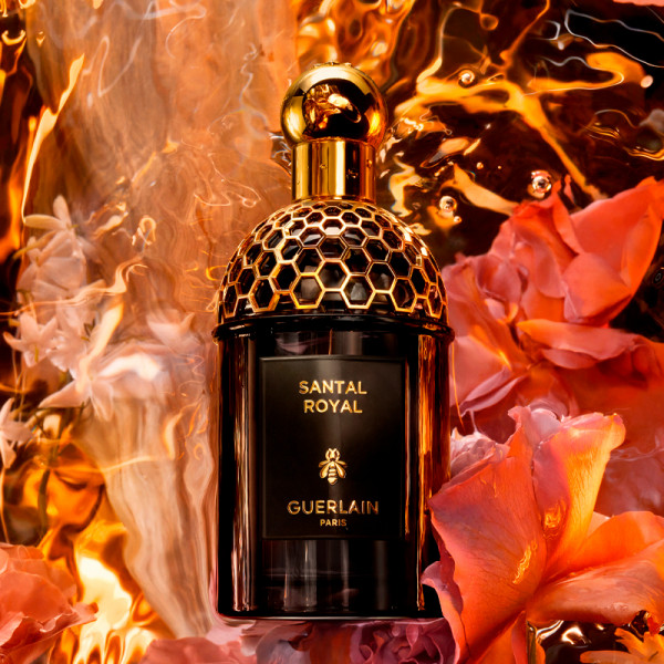 absolus-allegoria-santal-royal