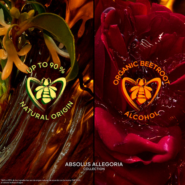 absolus-allegoria-rose-amira