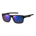 Sunglasses PLD3018/S