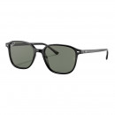leonard-sunglasses-0rb2193