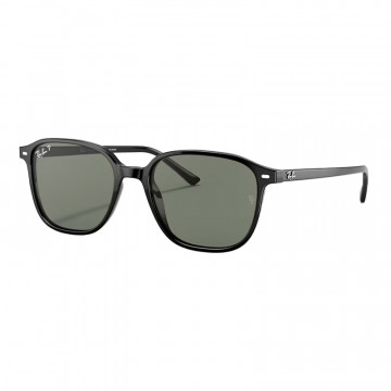 leonard-sunglasses-0rb2193