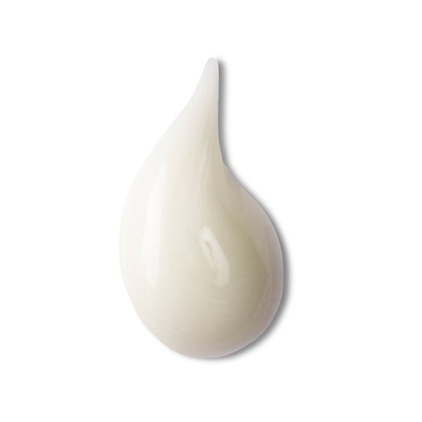 Hair Rituel By Sisley Masque Soin Régénérant – imagen 2