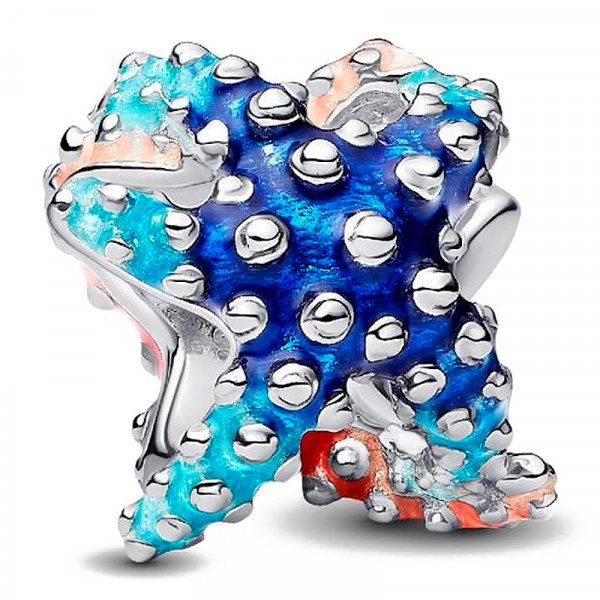 charm-mini-estrella-de-mar-793817c01