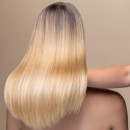 la-brosse-a-brushing-n2-harborste