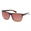 Gafas De Sol Tb00054-H