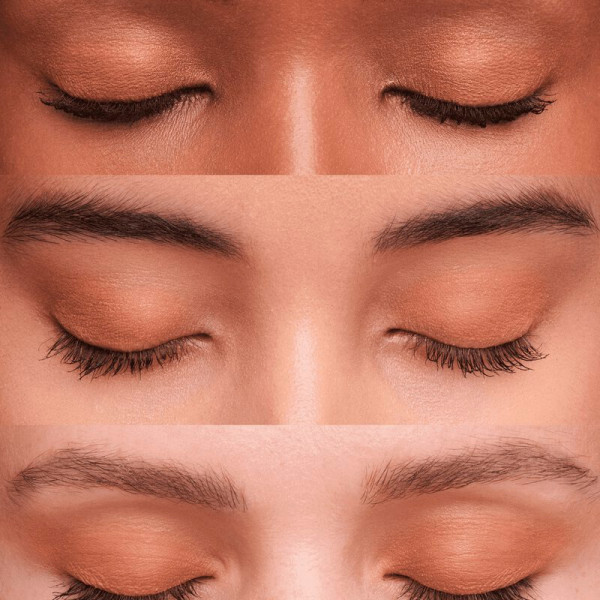 eye-tint-renovation-liquid-eyeshadow